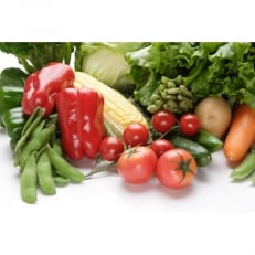 かすみがうら市産 季節の野菜セット15種 計約5kg[配送不可地域:離島・沖縄]