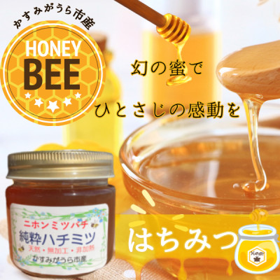 かすみがうら市産『日本みつばち』の純粋はちみつ 150g【1481277】