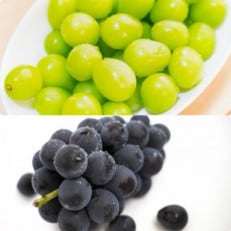 お中元　シャインマスカットと巨峰　桐箱入り2房　県内共通返礼品【配送不可地域：離島・北海道・沖縄・中国・四国・九州】【1517221】