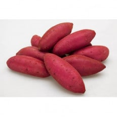 シルクスイート 5kg 県内共通返礼品【配送不可地域:離島・北海道・沖縄・信越、北陸・東海・近畿・中国・四国・九州】【1518367】