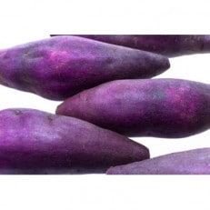 紫芋 5kg 県内共通返礼品【配送不可地域:離島・北海道・沖縄・信越、北陸・東海・近畿・中国・四国・九州】【1518368】