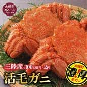 [期間限定!2026年3月〜4月発送先行予約]三陸産活毛ガニ300g相当×2杯(2尾)[配送日指定不可]