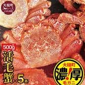 [令和8年発送]三陸産!活毛ガニ 500g × 5杯[2026年2月~4月発送][配送日指定不可]