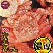 [令和7年発送]三陸産!活毛ガニ 500g × 5杯[2025年2月~4月発送][配送日指定不可]