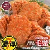 【令和8年発送】三陸産！活毛ガニセット  400g×2杯【2026年2月~4月発送】【配送日指定不可】