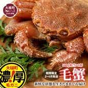 [令和8年発送]三陸産!活毛ガニ 500g × 1杯[2026年2月~4月発送][配送日指定不可]
