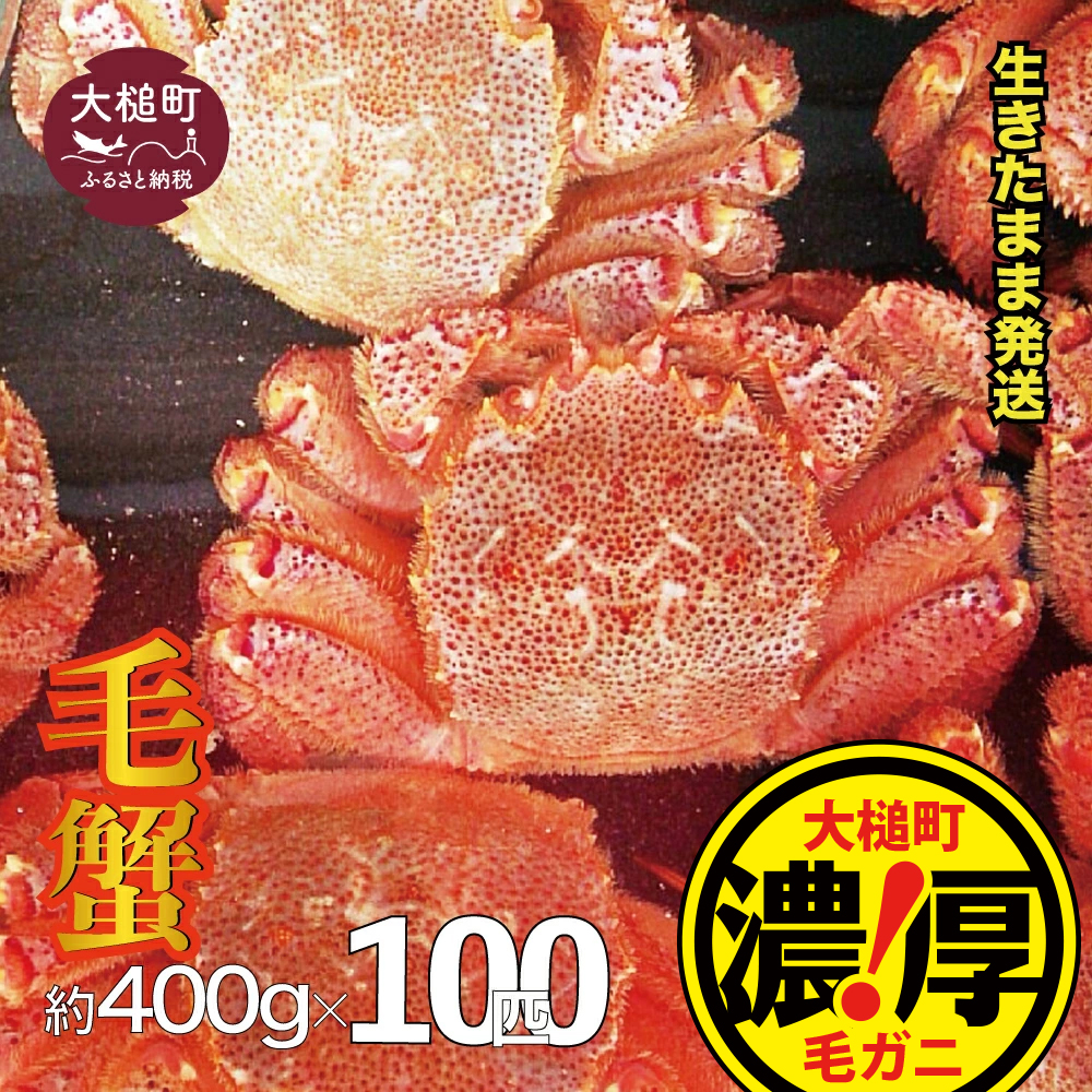 [令和7年発送]三陸産!活毛ガニセット 400g × 100杯[2025年2月~4月発送][配送日指定不可]