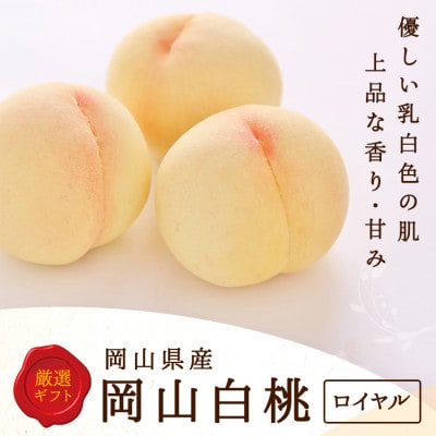 【2026年発送】岡山県産 白桃 8玉(2kg以上) 等級:ロイヤル 化粧箱入り【配送不可地域:離島・北海道・沖縄】【1546676】
