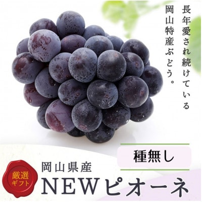 【2026年発送】岡山県産 ニューピオーネ2房(1房480g以上) 化粧箱入り【配送不可地域:離島】【1546679】