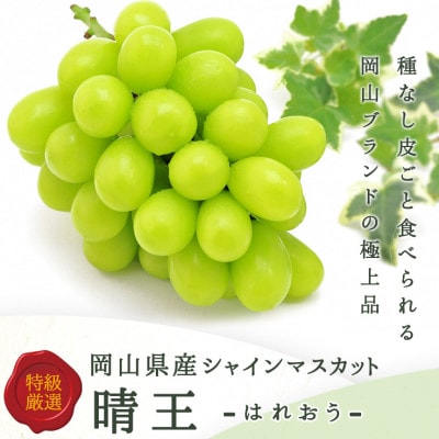岡山県産 シャインマスカット『晴王』3~5房 (約2kg)【配送不可地域:離島】【1546681】