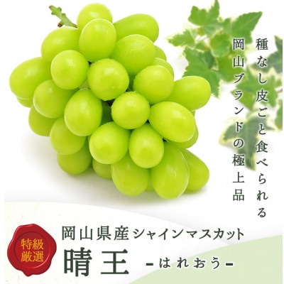 岡山県産 シャインマスカット『晴王』1房(800g以上) 化粧箱入り【配送不可地域:離島】【1546683】