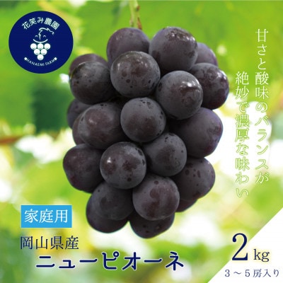 岡山 花笑み農園の『ニューピオーネ』家庭用 約2kg(3〜5房) P-2家[9月上旬〜順次発送][配送不可地域:離島]