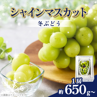 2127.【冬ぶどう】シャインマスカット 1房(約650g以上)【配送不可地域:離島】【1488988】