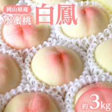 岡山県産「白鳳(水蜜桃)」約3kg|7月上旬頃~順次発送【配送不可地域:離島】【1488991】