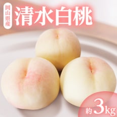 岡山県産「清水白桃」約3kg|7月中旬頃~順次発送【配送不可地域:離島】【1488992】