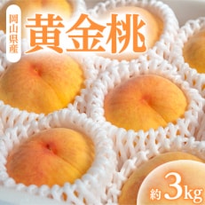 岡山県産「黄金桃」約3kg|8月下旬頃~発送予定【配送不可地域:離島】【1488995】