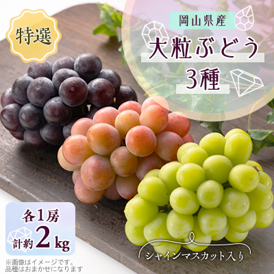 1061.【先行受付】特選大粒ぶどう3種セット(シャインマスカット入り)10月初旬~12月発送予定【1488997】