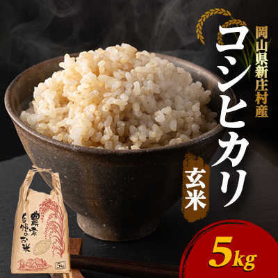 【令和7年産】新米コシヒカリ 村の「一等米」(玄米5kg×1袋) 岡山県産のお米【1489805】