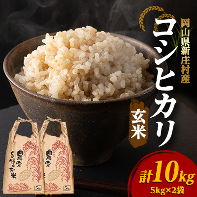 【令和7年産】新米コシヒカリ 村の「一等米」10kg(玄米5kg×2袋) 岡山県産のお米【1489807】