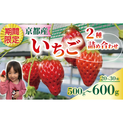 いちご 紅ほっぺ・章姫(2種合計 約500-600g) 1箱【配送不可地域：離島・北海道・沖縄・東北】【1580016】
