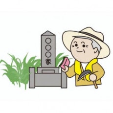 【2区画】お墓清掃(除草含む。)及びお墓参り代行サービス(墓花入れ替え含む。)【1242756】