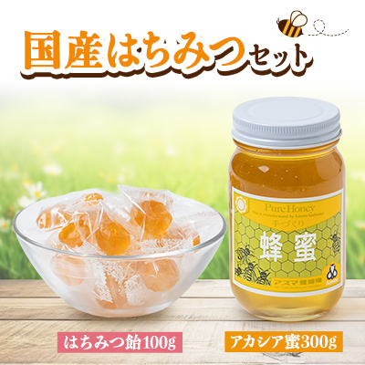 国産蜂蜜セット(アカシア蜜とはちみつキャンディ) はちみつと飴の詰合せ【1272707】