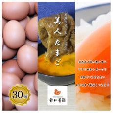 【生みたて濃厚】谷川養鶏の美人たまご 30ヶ入り(※サイズ指定できません)【配送不可地域:離島】【1390250】