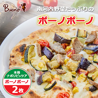 【2枚】南河内野菜たっぷりのボーノボーノピッツァ【配送不可地域:離島】【1531979】