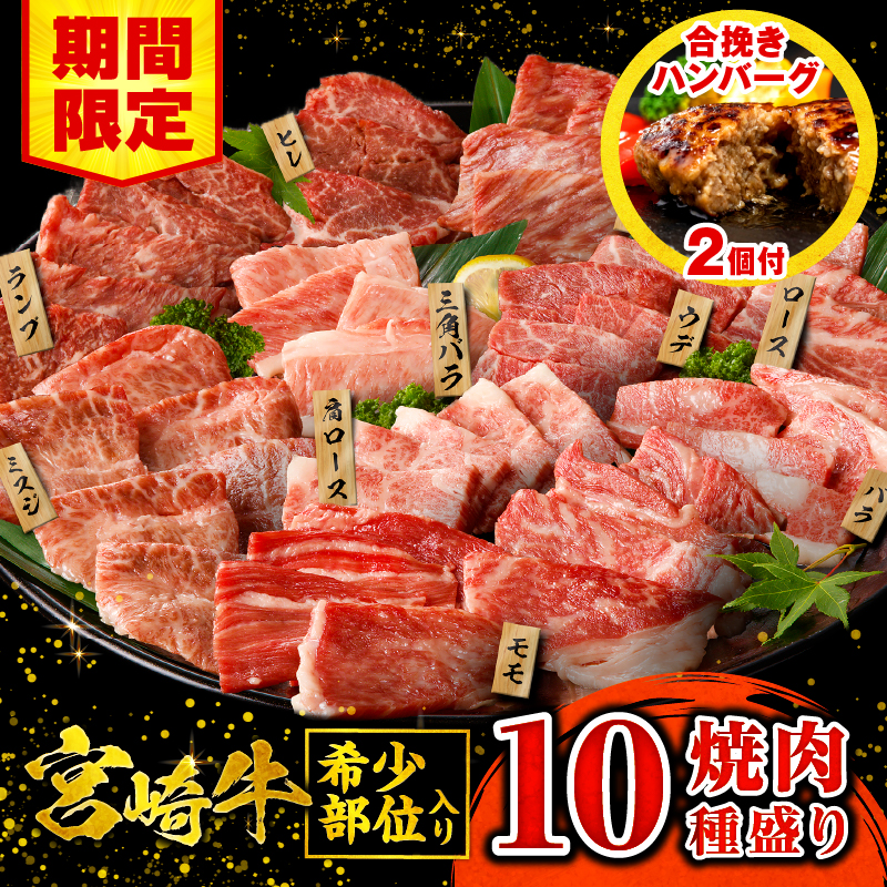 [期間限定]宮崎牛焼肉10種盛り合わせ+合挽きハンバーグ100g×2個_M132-067-B