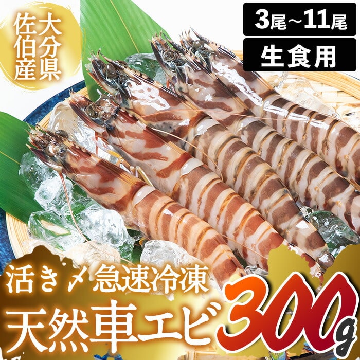 天然 活き〆車エビ 生食用 (計300g)エビ 海老 車海老 冷凍 刺身 さしみ 天ぷら 塩焼 バーベキュー 国産 大分県産 大分県 佐伯市 やまろ渡邉[DL18][鶴見食賓館]