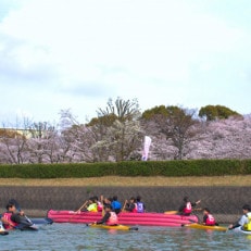 【2025年3月29日(土)・30日(日)開催】 お花見カヌー体験(2名様)【1586929】