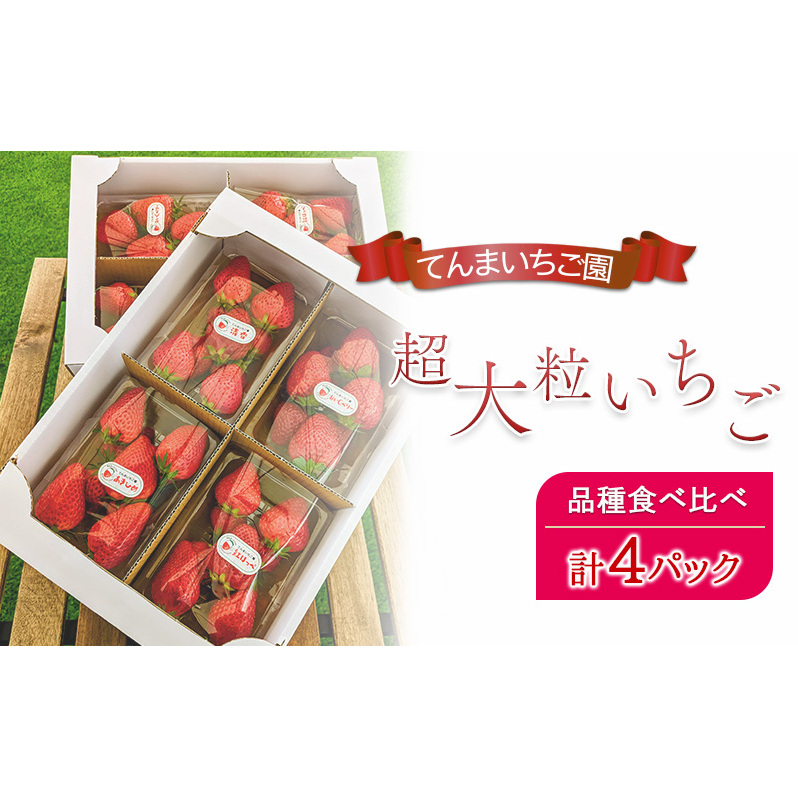 【予約受付】てんまいちご園 超大粒いちご 4パックセット 品種食べ比べボックス いちご イチゴ 食べ比べ 超大粒 大粒 兵庫県 稲美町 果物類 苺