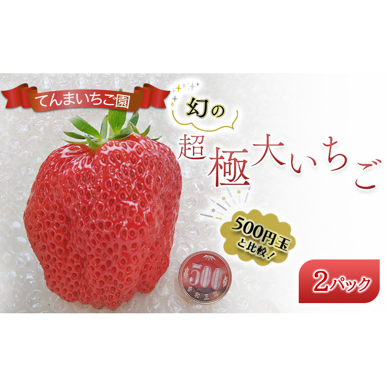 【予約受付】てんまいちご園 幻の超極大いちご 2パック入りボックス いちご イチゴ 大粒 極大 超極大 兵庫県 稲美町 果物類 苺