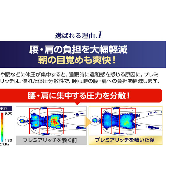 トゥルースリーパー プレミアリッチpr2 ダブル[ 寝具 マット 低反発 高 ...