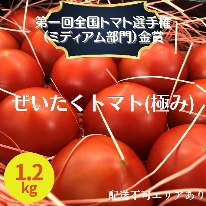 ぜいたく トマト 極み 1.2kg セット 詰め合わせ 第一回全国トマト選手権ミディアム部門金賞 高糖度トマト 甘い 高糖度 とまと 野菜 季節の野菜 旬の野菜 兵庫 兵庫県 稲美町