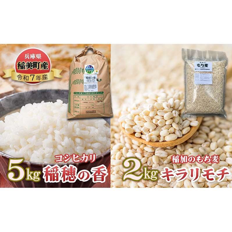 米セット コシヒカリ 稲穂の香 5kg 稲加のもち麦 キラリモチ 2kg セット 詰め合わせ 米 精米 白米 お米 こめ コメ 最高級米 ご飯 ごはん もち麦 国産 大麦 食物繊維 低糖質 高タンパク 健康 健康食品 ダイエット 兵庫県産 兵庫 兵庫県 稲美町