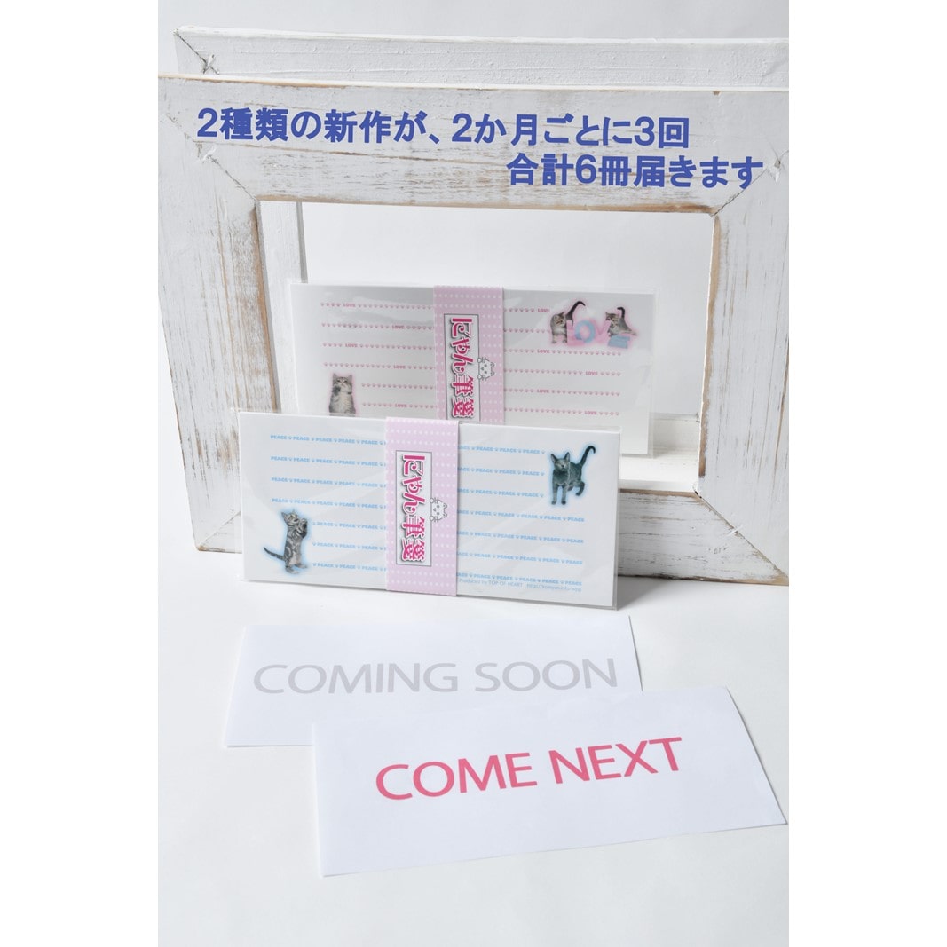 猫写真の一筆箋「にゃん筆箋」隔月ごとに新作2種類が3回届くセット