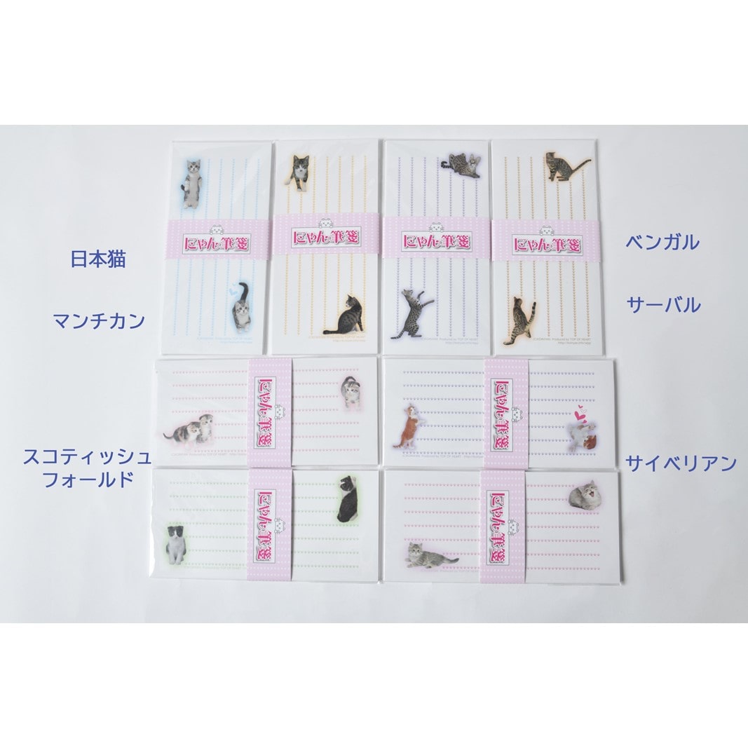 猫写真の一筆箋「にゃん筆箋」猫種いろいろ肉球キャット8種セット