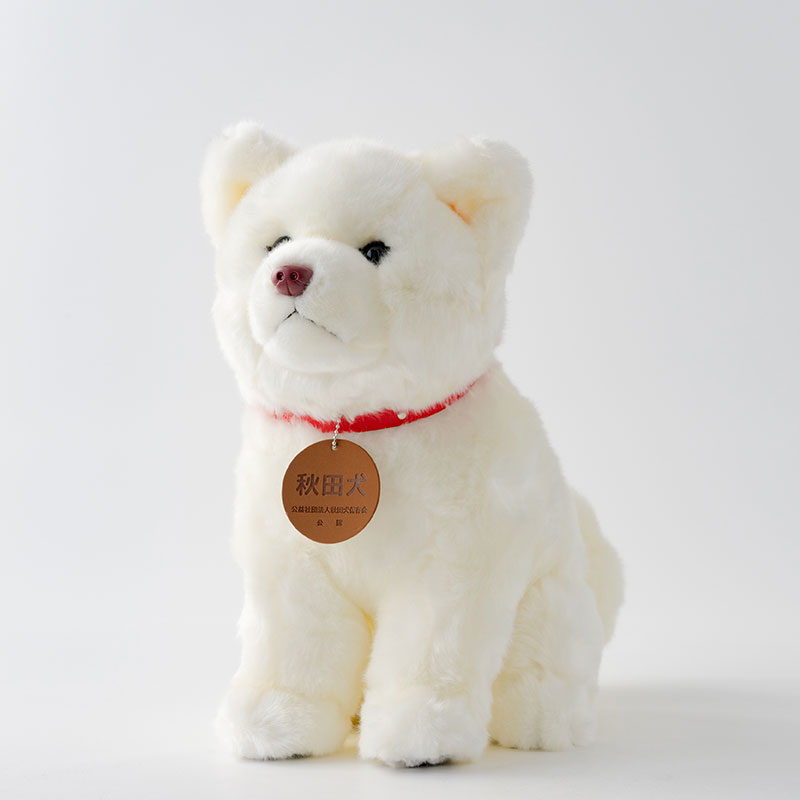 165P7305 秋田犬白毛(鼻ピンク)ぬいぐるみ　座りＬサイズ