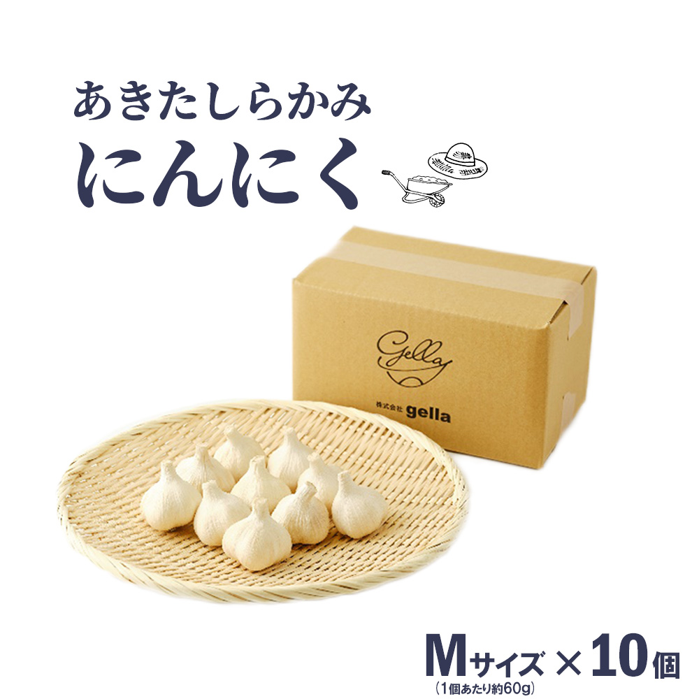 40P3215　あきたしらかみにんにく