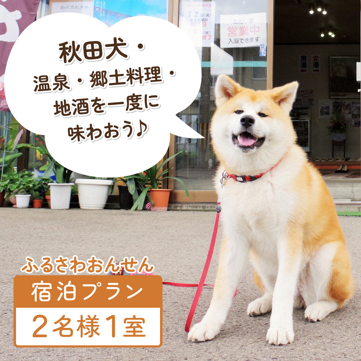 【宿泊プラン】秋田犬、温泉、季節郷土膳と地酒プラン 715P8401