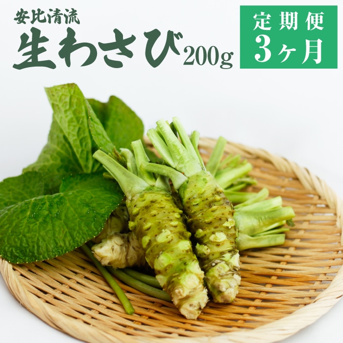 AE-004-C 生わさび 200g定期便3ヶ月 [安比清流山葵園]