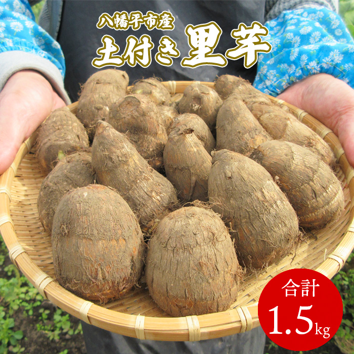 BH-003-A 土付き里芋 約1.5kg
