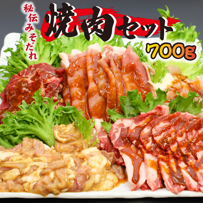 BA-012-A 秘伝のみそだれ 焼肉セット 計700g / 肉のささき 牛肉 豚肉 鶏肉 生ラム ホルモン 焼肉