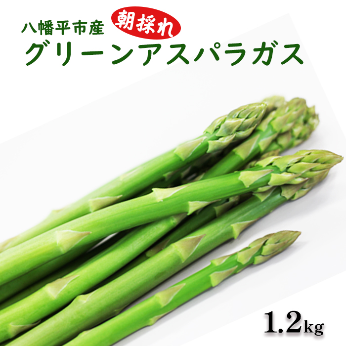 CD-003-A 甘い! 朝採れ グリーンアスパラガス 1.2kg(200g×6束)