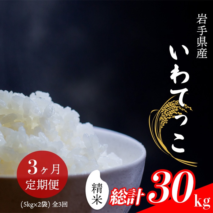 CL-117 いわてっこ 精米 10kg (5kg×2袋) ×3ヶ月定期便 【中沢農産】