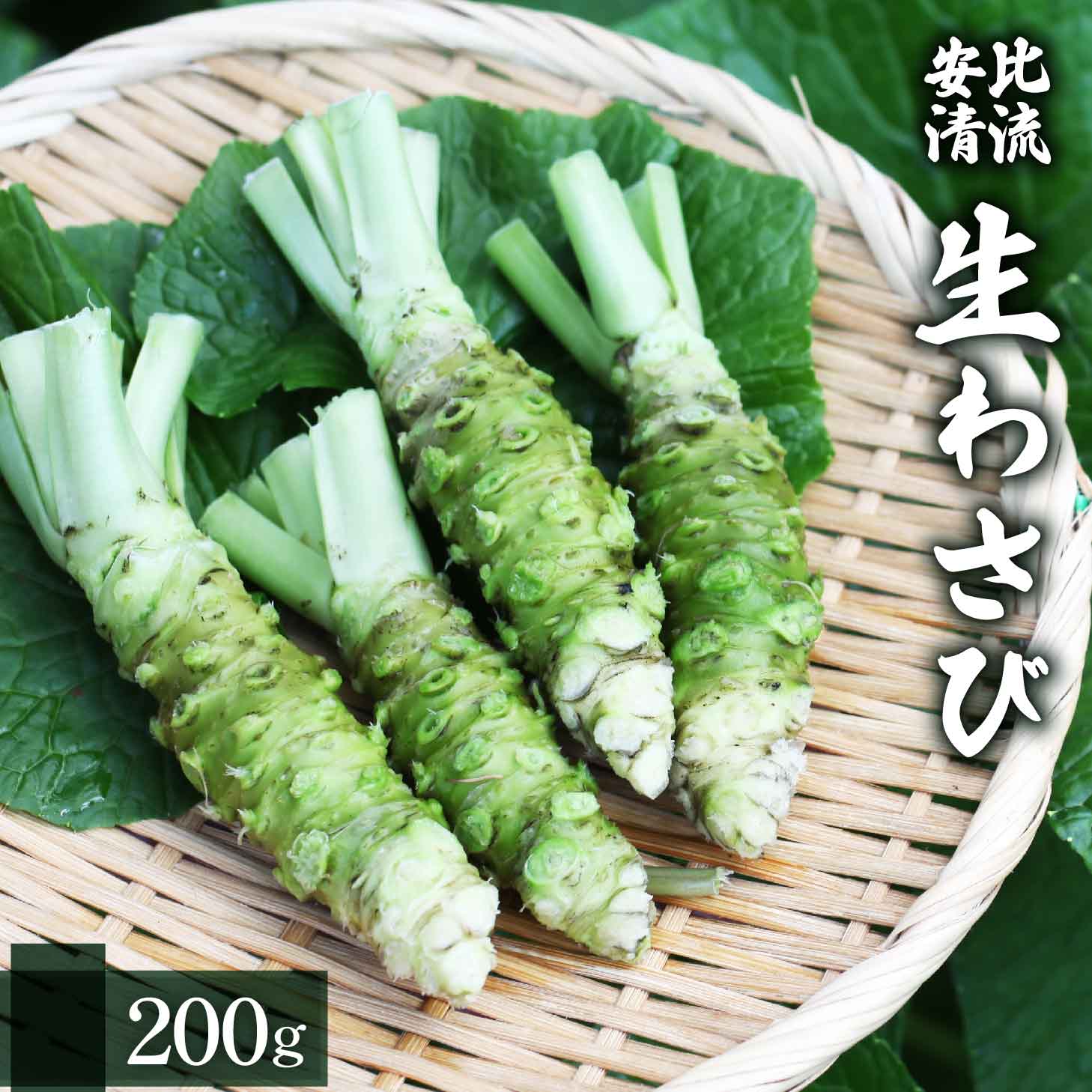AE-001-C 生わさび 200g 【安比清流山葵園】