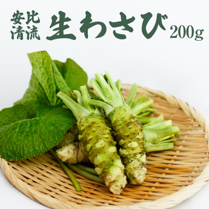 AE-001-C 生わさび 200g [安比清流山葵園]