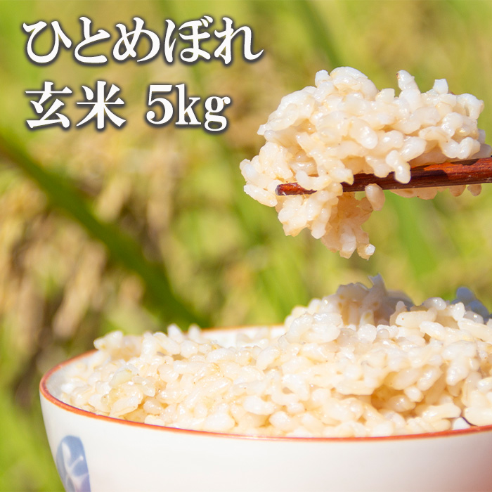 BO-013-E ひとめぼれ 玄米 5kg / かきのうえ