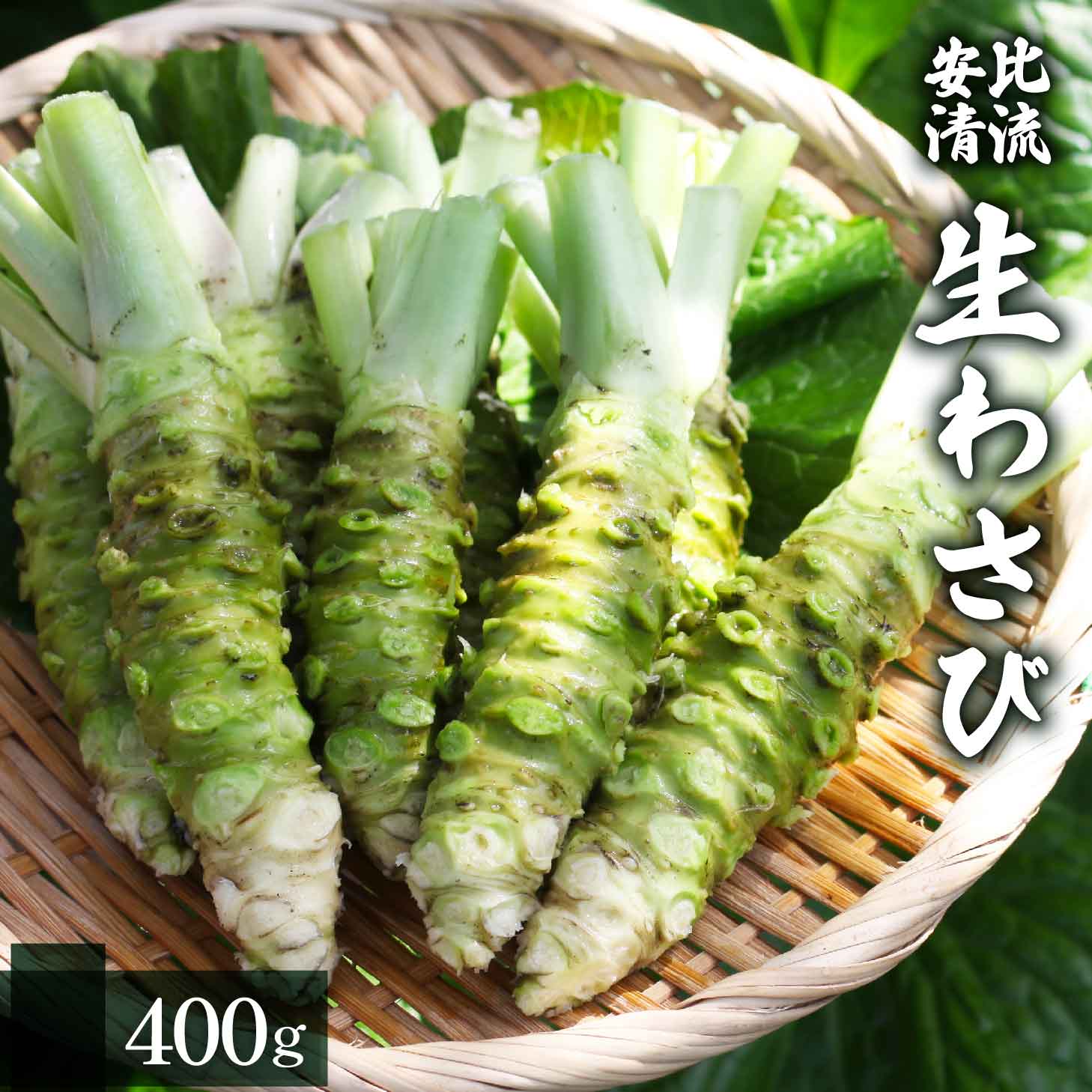 AE-003-B 生わさび 400g 【安比清流山葵園】